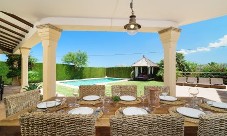 Views Of The Elephant 1