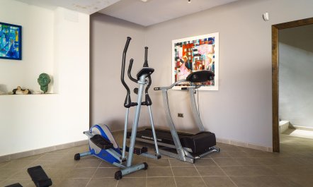 Views Of The Elephant 5