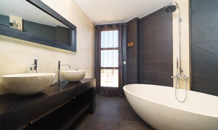 Views Of The Elephant 9