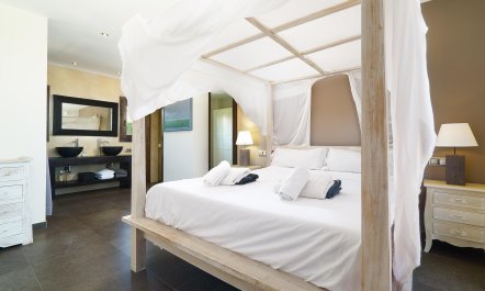 Views Of The Elephant 6