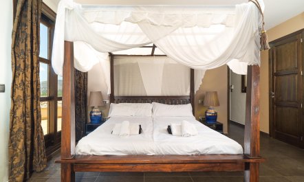 Views Of The Elephant 8