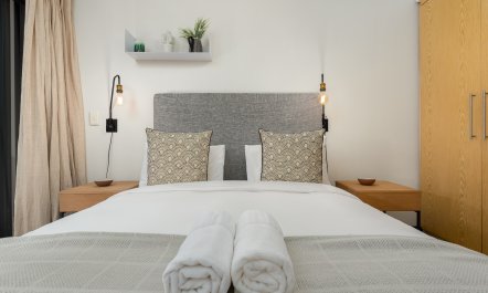 Reminiscent of a Rainforest 8