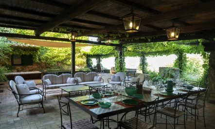 Vineyards & Olive Groves 5