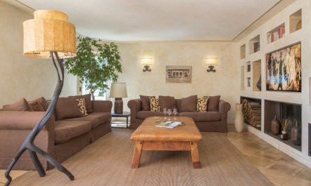 Vineyards & Olive Groves 1