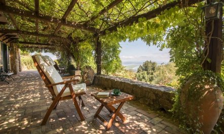 Vineyards & Olive Groves 4