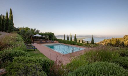 Vineyards & Olive Groves 2