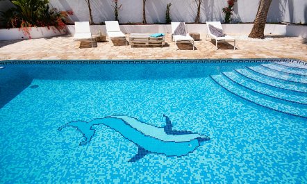 The Spanish Breeze 7