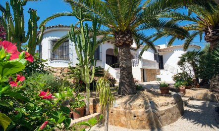 The Spanish Breeze 1