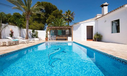 The Spanish Breeze 5