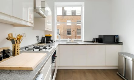 The Cosmopolitan Era 1