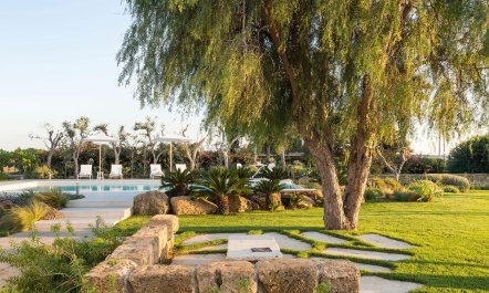 Sea Light Serenade 4