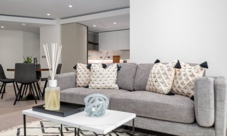 The Paddington Pad 5