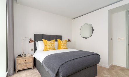 The Paddington Pad 2