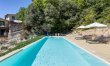 Old Olive Shade 3