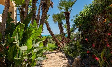 Colours of the Sea 3