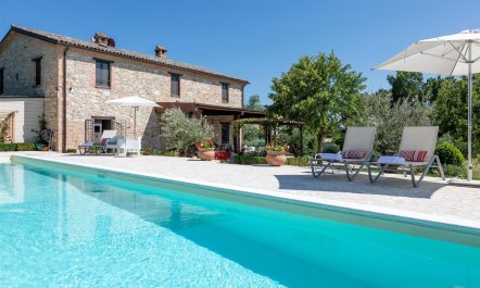 Quiet Garden Serenity