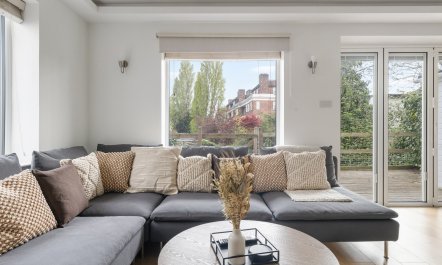 Hampstead Halcyon