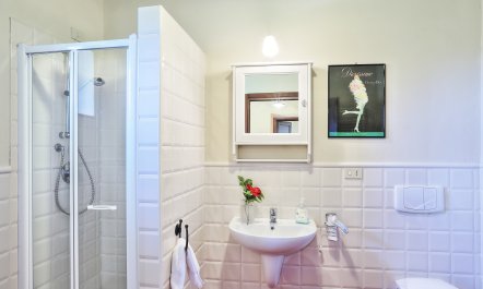 The Sunlit Dwelling 8