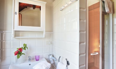 The Sunlit Dwelling 6