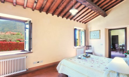 The Sunlit Dwelling 5