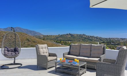 Curves of Alabaster 1