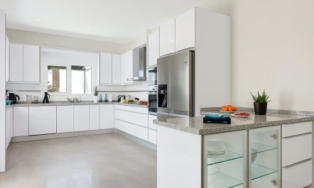 Curves of Alabaster 5