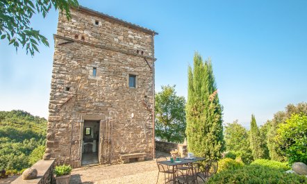 Watchtower Stories 1