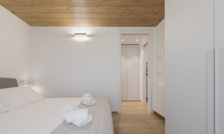 Reflections Beside Lake 5