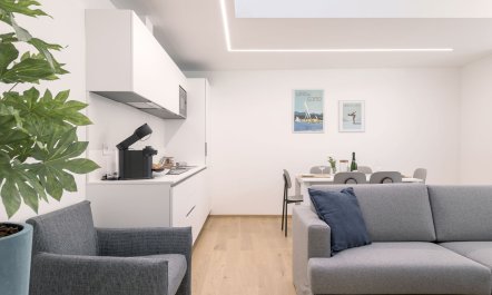 Reflections Beside Lake 2