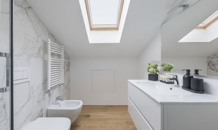 Reflections Beside Lake 7