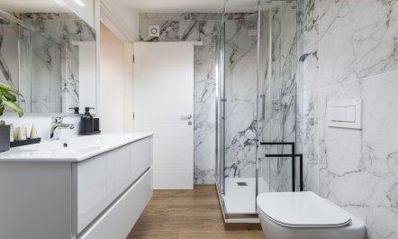 Reflections Beside Lake 8