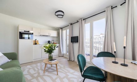 Parisian Architecture Vistas 8