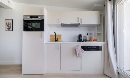 Parisian Architecture Vistas 9