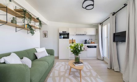 Parisian Architecture Vistas