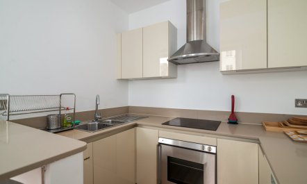 An Elevated Avenue 2