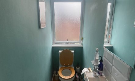 Hampstead Greenery 8