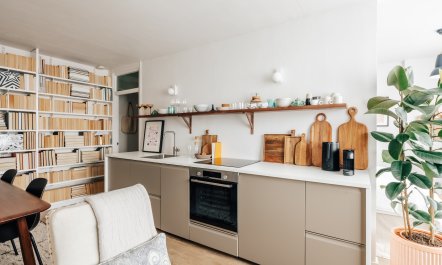 The Overturned Teacup 4