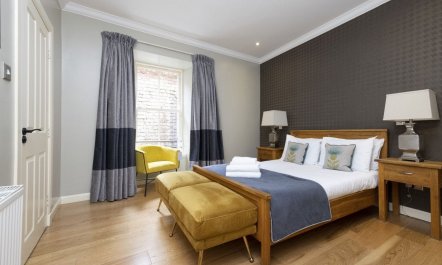 The Scottish Thistle 1