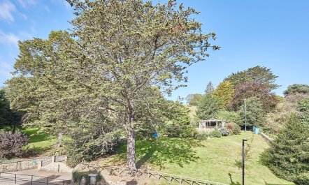 Oh Captain, My Captain 1