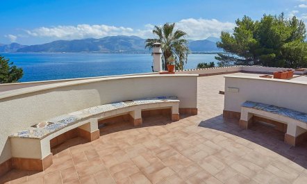 Vivid View 7
