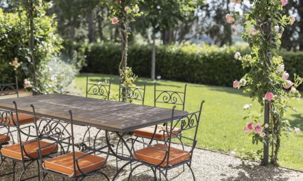 Renaissance Revived 5