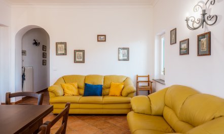 Nestled Vista 6