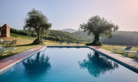 Golden Tuscan Dream 8