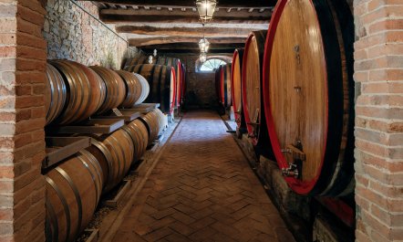 Golden Tuscan Dream 7