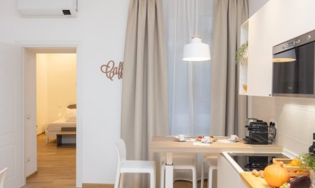 Antiquity & Modernity 8