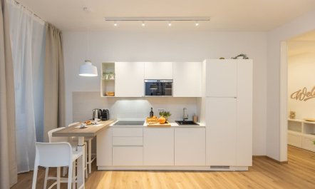 Antiquity & Modernity 1