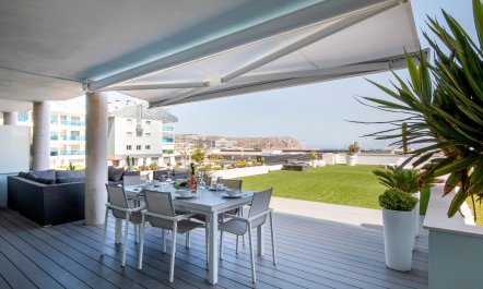 Fresh as a Tangerine 2