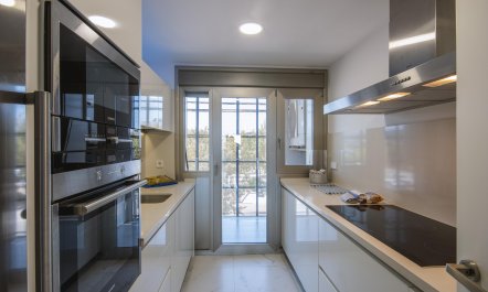 Fresh as a Tangerine 5