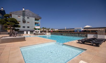 Fresh as a Tangerine 1