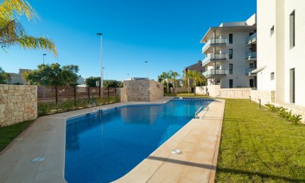 The Knight of the Sun 0